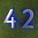 Light up House Number Metal Address Numbers Halo Lighting